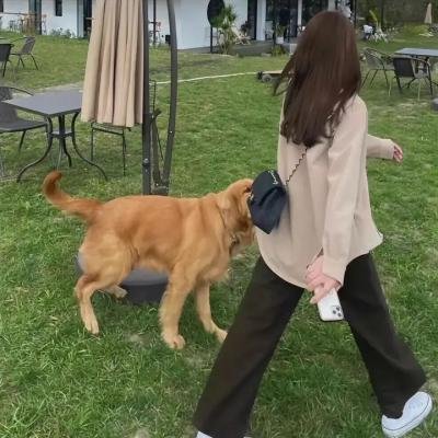 七个毕业生